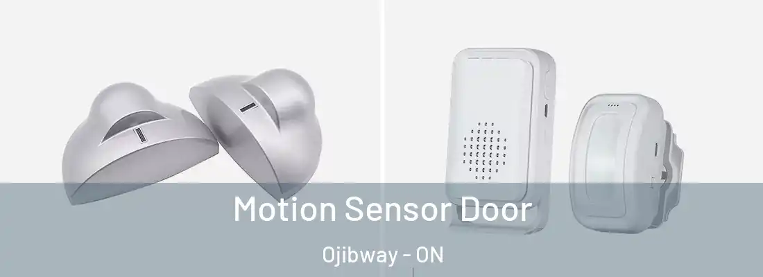  Motion Sensor Door Ojibway - ON