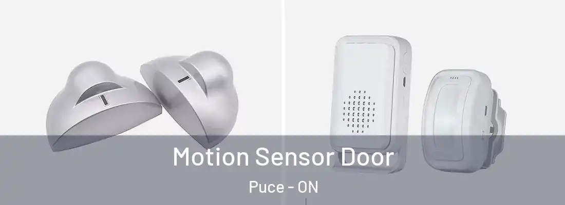  Motion Sensor Door Puce - ON