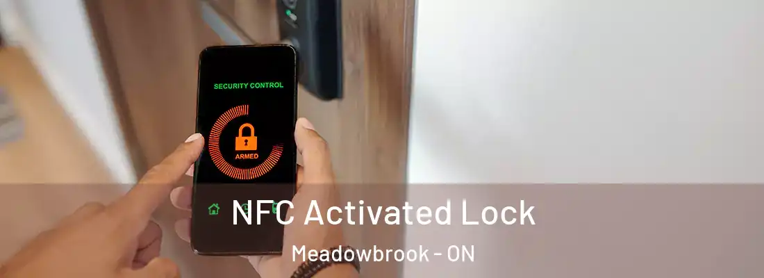  NFC Activated Lock Meadowbrook - ON