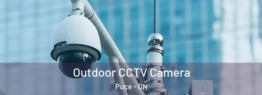  Outdoor CCTV Camera Puce - ON