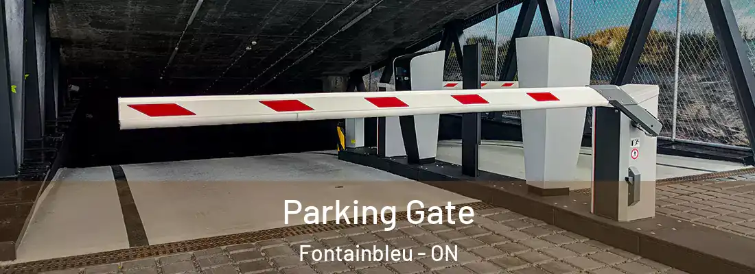  Parking Gate Fontainbleu - ON
