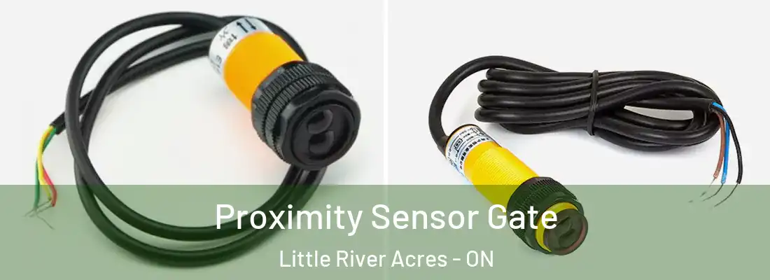  Proximity Sensor Gate Little River Acres - ON