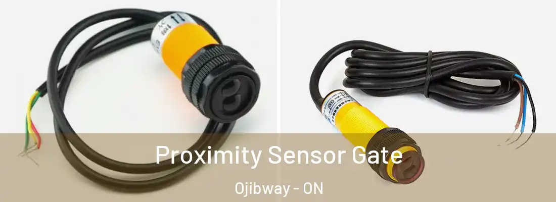  Proximity Sensor Gate Ojibway - ON