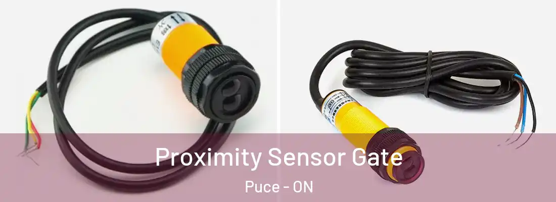  Proximity Sensor Gate Puce - ON