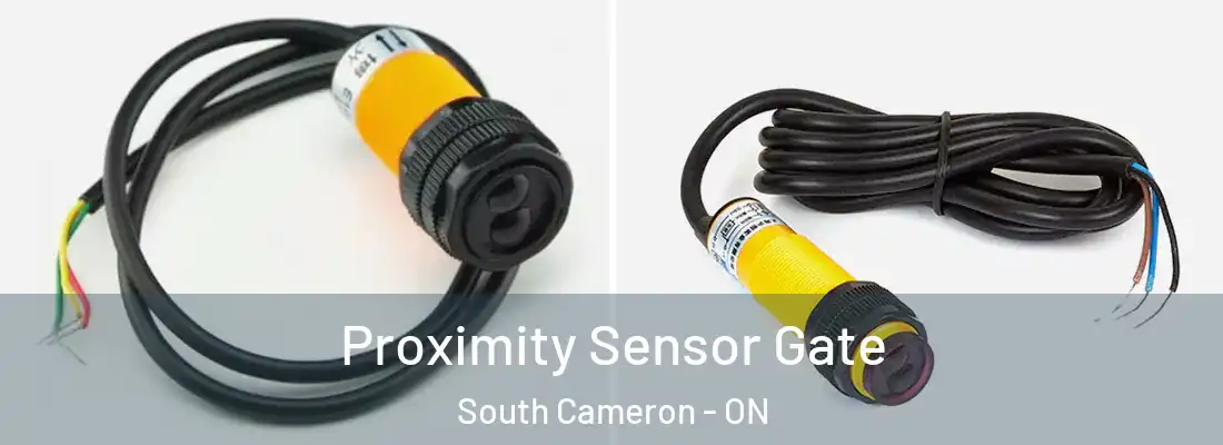  Proximity Sensor Gate South Cameron - ON