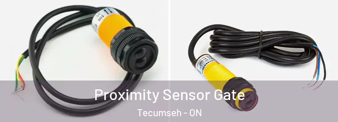  Proximity Sensor Gate Tecumseh - ON