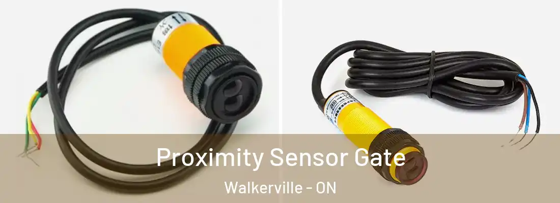  Proximity Sensor Gate Walkerville - ON