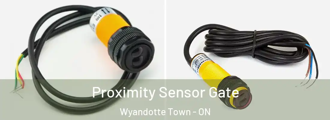  Proximity Sensor Gate Wyandotte Town - ON