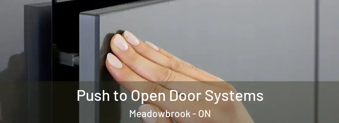  Push to Open Door Systems Meadowbrook - ON