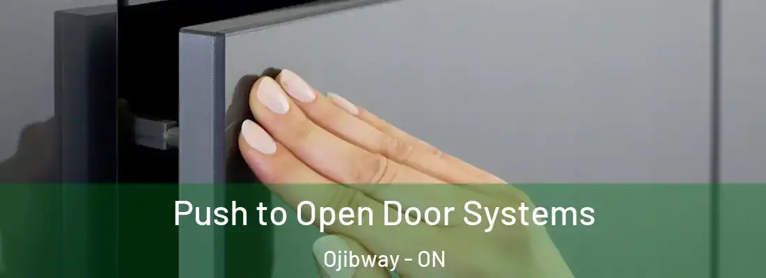  Push to Open Door Systems Ojibway - ON