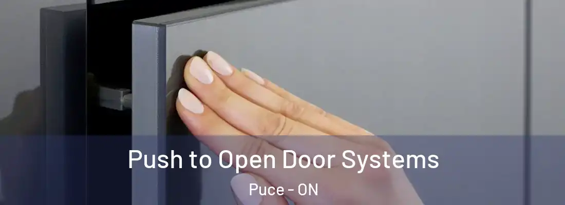  Push to Open Door Systems Puce - ON