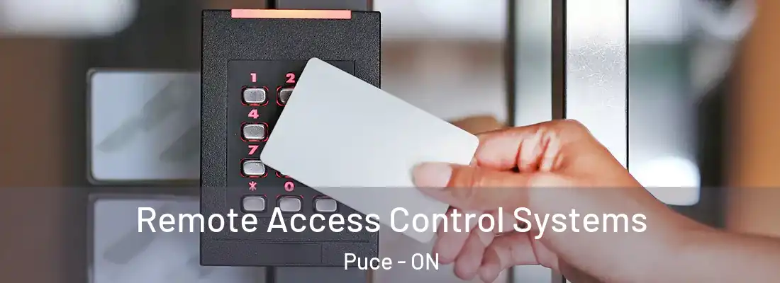  Remote Access Control Systems Puce - ON