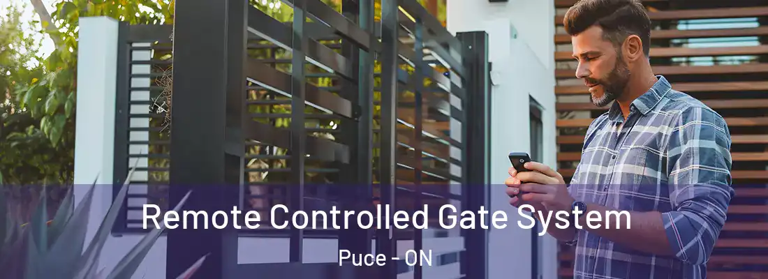  Remote Controlled Gate System Puce - ON