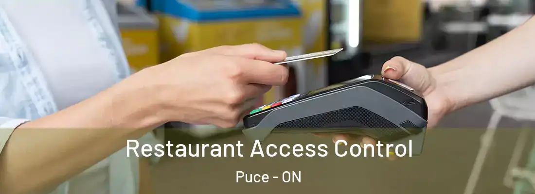  Restaurant Access Control Puce - ON