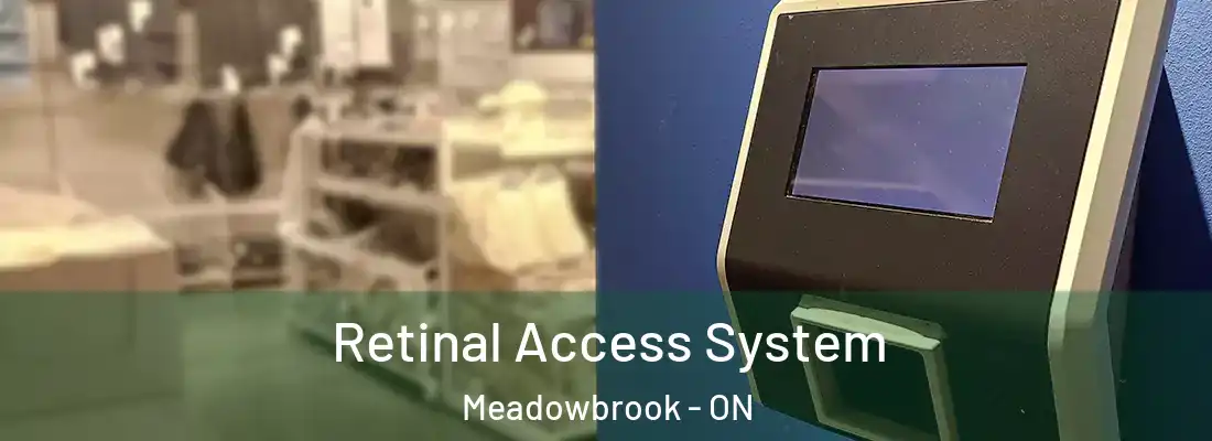  Retinal Access System Meadowbrook - ON