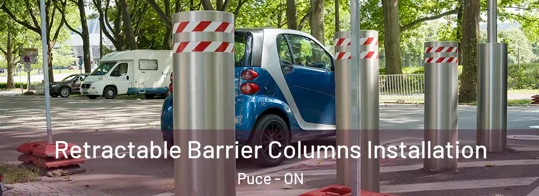  Retractable Barrier Columns Installation Puce - ON