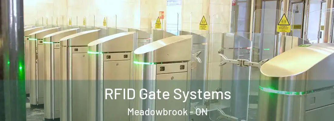  RFID Gate Systems Meadowbrook - ON