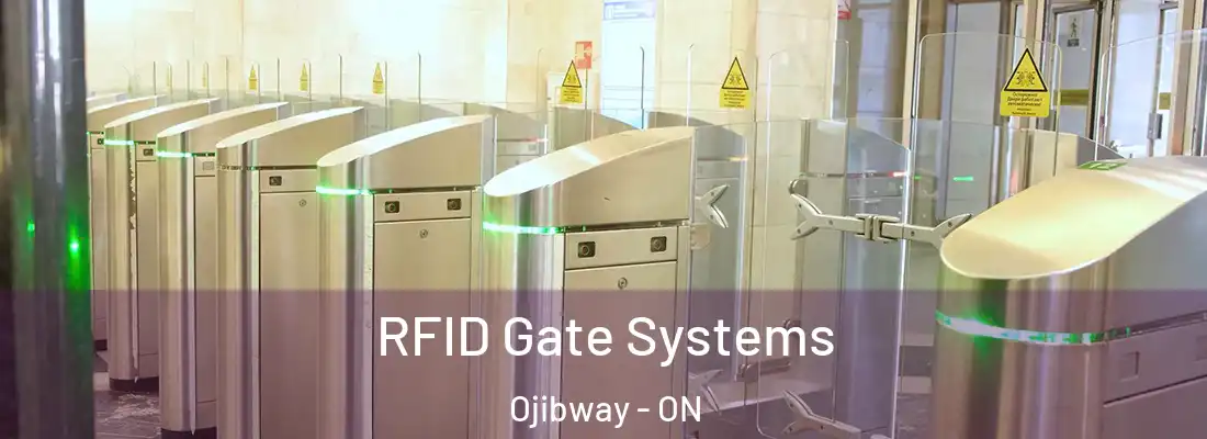  RFID Gate Systems Ojibway - ON