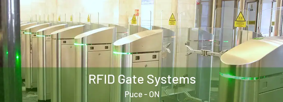  RFID Gate Systems Puce - ON