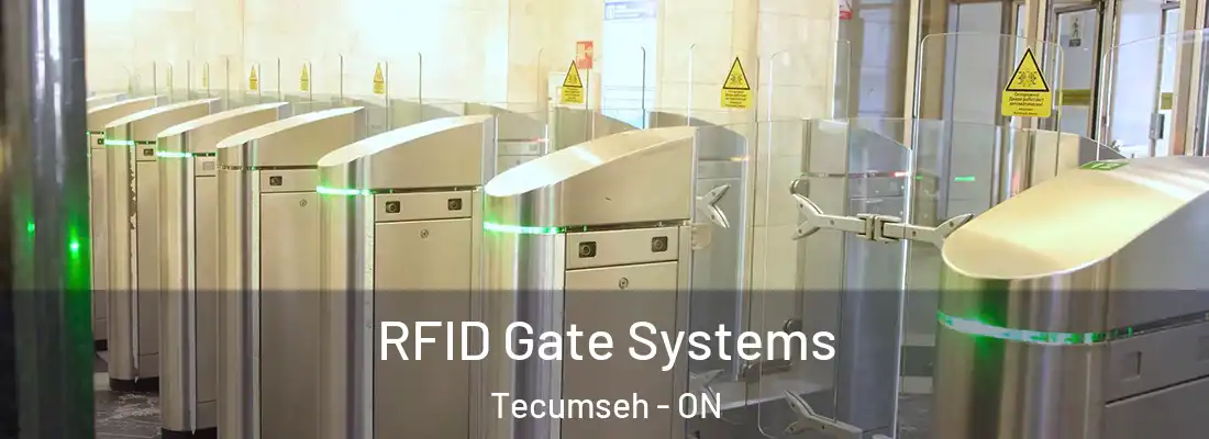  RFID Gate Systems Tecumseh - ON