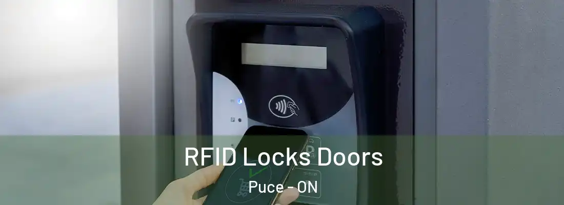  RFID Locks Doors Puce - ON