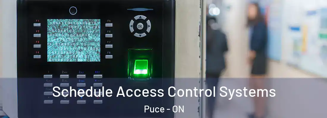  Schedule Access Control Systems Puce - ON