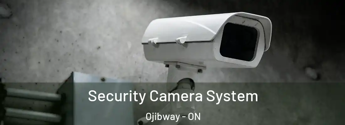  Security Camera System Ojibway - ON