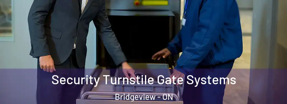  Security Turnstile Gate Systems Bridgeview - ON