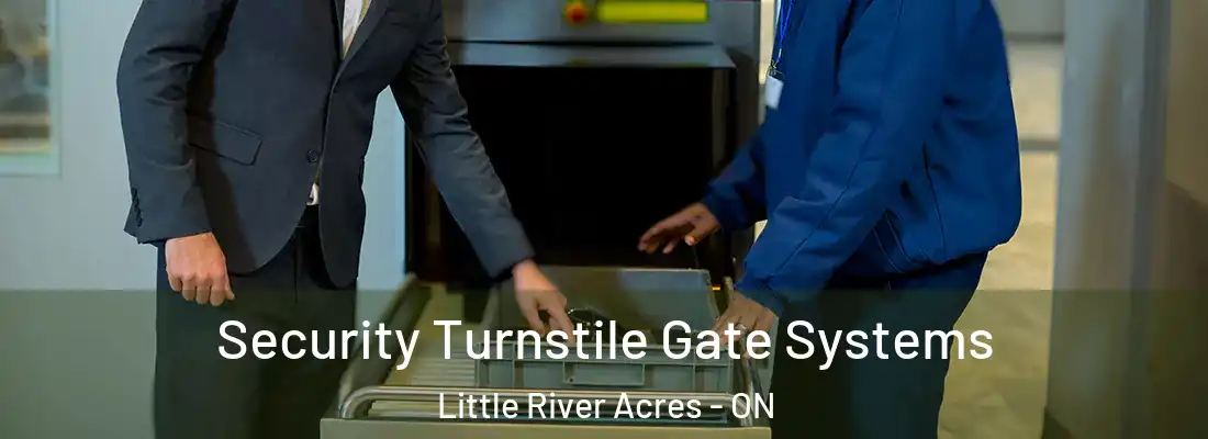  Security Turnstile Gate Systems Little River Acres - ON