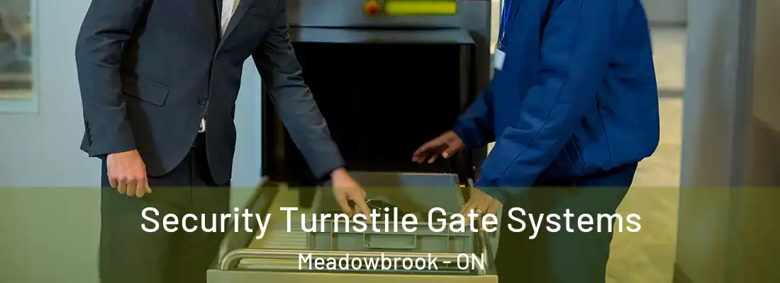  Security Turnstile Gate Systems Meadowbrook - ON