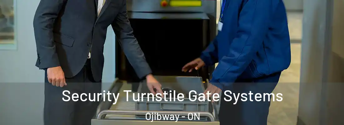  Security Turnstile Gate Systems Ojibway - ON