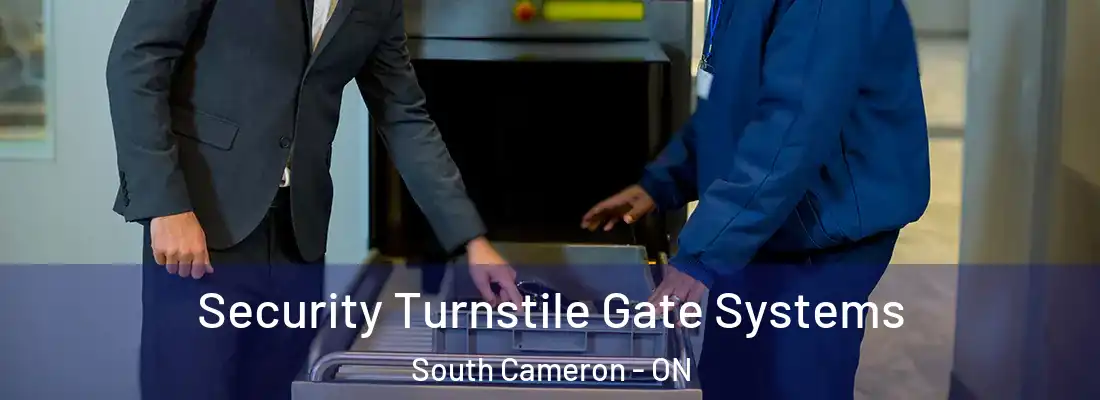  Security Turnstile Gate Systems South Cameron - ON