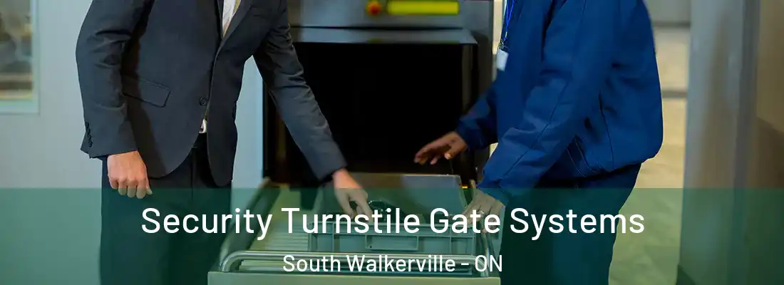  Security Turnstile Gate Systems South Walkerville - ON