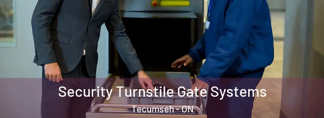  Security Turnstile Gate Systems Tecumseh - ON