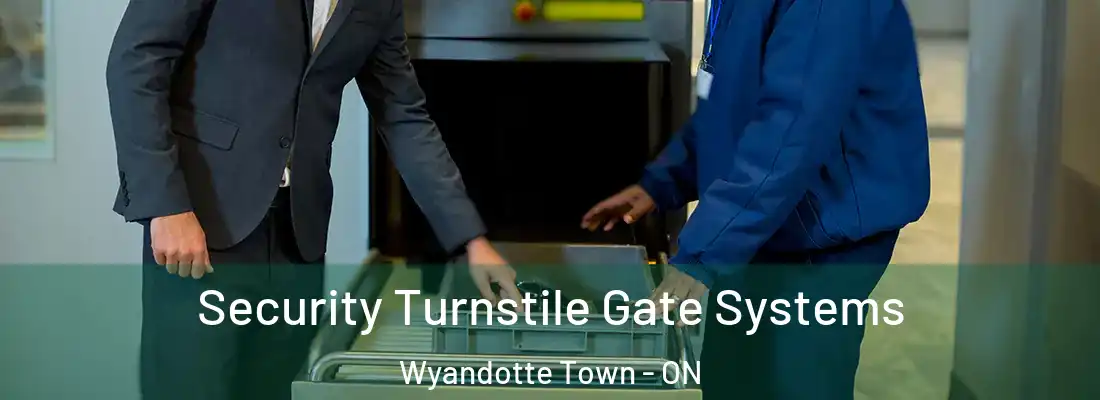  Security Turnstile Gate Systems Wyandotte Town - ON