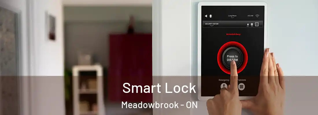  Smart Lock Meadowbrook - ON