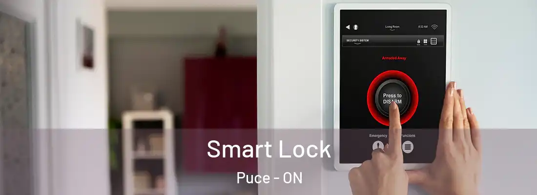  Smart Lock Puce - ON