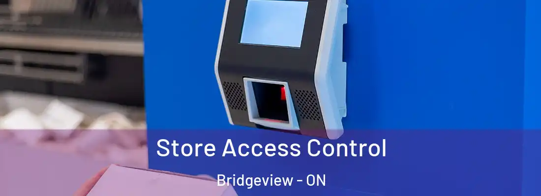  Store Access Control Bridgeview - ON