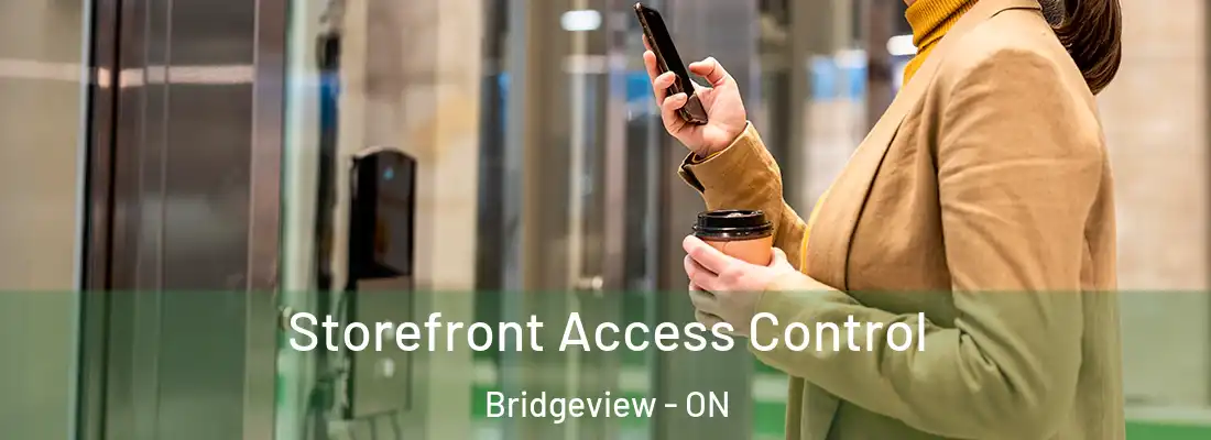  Storefront Access Control Bridgeview - ON