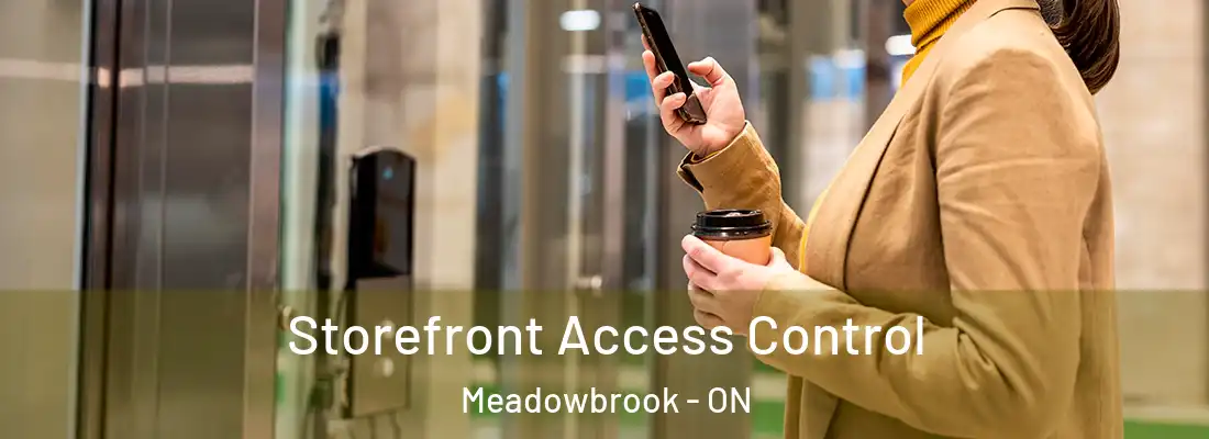  Storefront Access Control Meadowbrook - ON