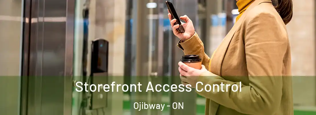  Storefront Access Control Ojibway - ON