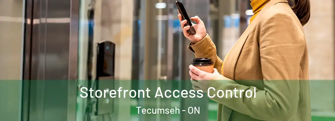  Storefront Access Control Tecumseh - ON