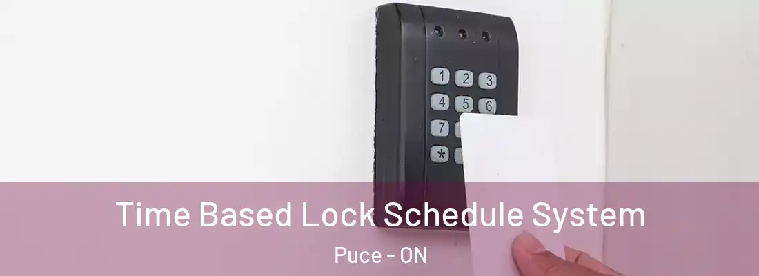  Time Based Lock Schedule System Puce - ON