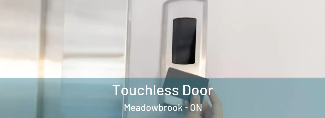  Touchless Door Meadowbrook - ON