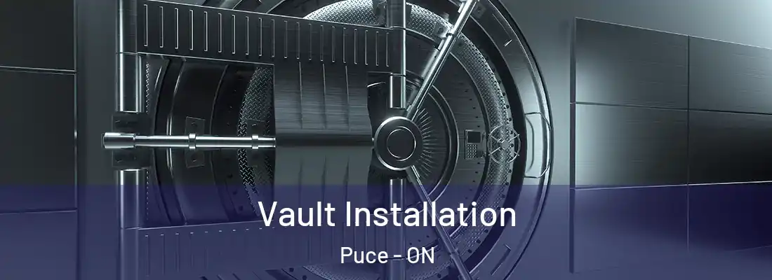  Vault Installation Puce - ON