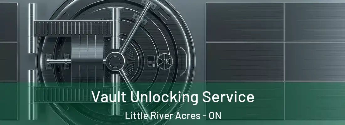  Vault Unlocking Service Little River Acres - ON