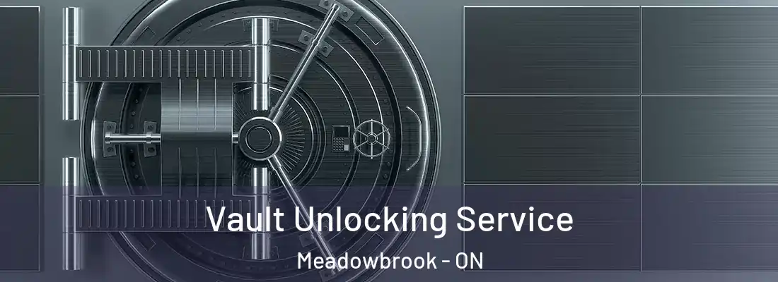  Vault Unlocking Service Meadowbrook - ON