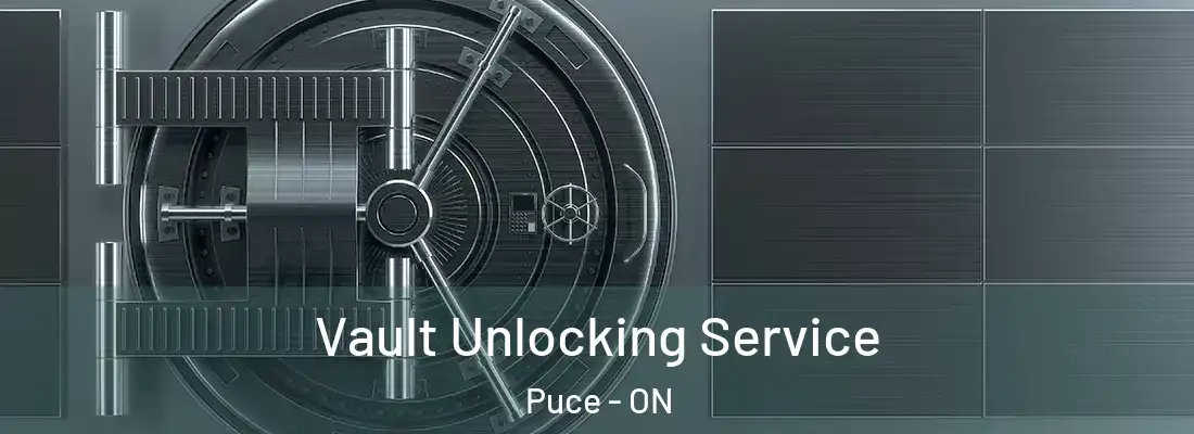  Vault Unlocking Service Puce - ON
