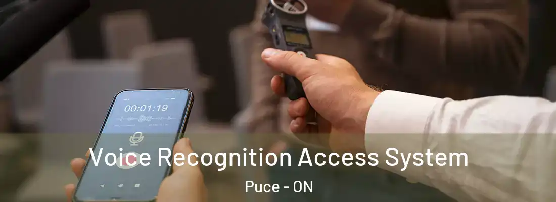  Voice Recognition Access System Puce - ON